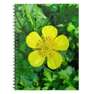 Carnet Fleur de tasse à beurre en flammes.