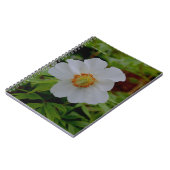 Carnet Fleur de tourbe blanche simple (Côté gauche)