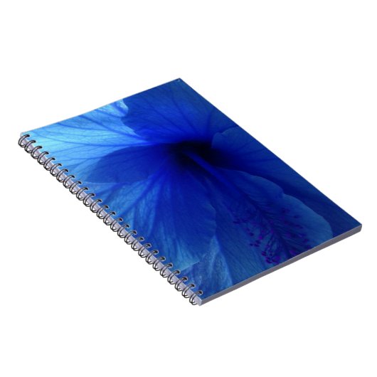 Carnet Fleur d'Hibiscus bleu (Côté Droit)