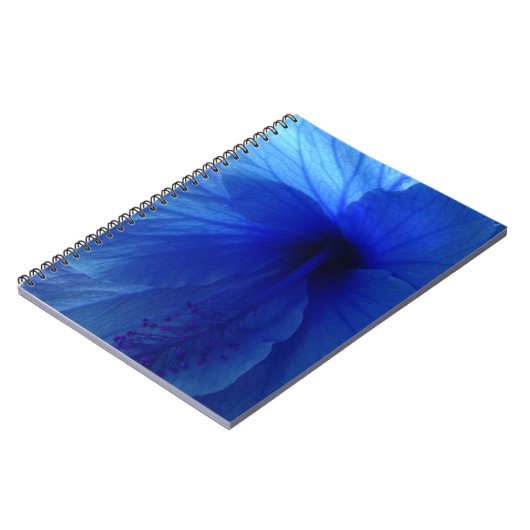 Carnet Fleur d'Hibiscus bleu (Côté gauche)