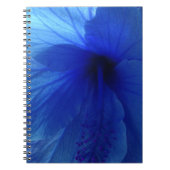 Carnet Fleur d'Hibiscus bleu (Devant)
