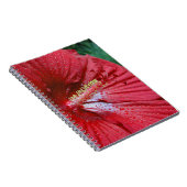 Carnet Fleur d'Hibiscus Fireball avec Raindrops Photo (Côté Droit)