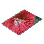 Carnet Fleur d'Hibiscus Fireball avec Raindrops Photo (Côté gauche)