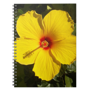 Carnet Fleur d'Hibiscus jaune