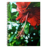 Carnet Fleur d'Hibiscus rouge (Devant)