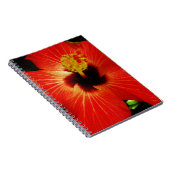 Carnet Fleur d'Hibiscus rouge-orange (Côté Droit)