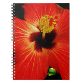 Carnet Fleur d'Hibiscus rouge-orange (Devant)