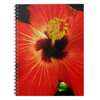 Carnet Fleur d'Hibiscus rouge-orange