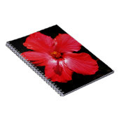 Carnet Fleur d'Hibiscus rouge rose chaud sur noir (Côté Droit)