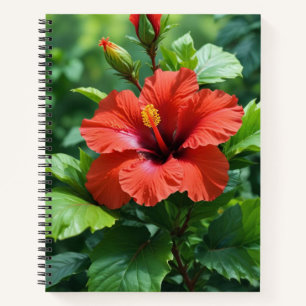 Carnet Fleur d'Hibiscus Rouge Vibrante Avec Feuille-4369