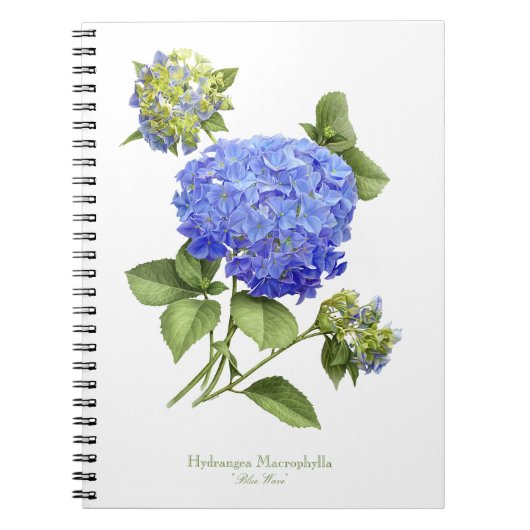 Carnet Fleur d'Hortensia Bleu (Devant)