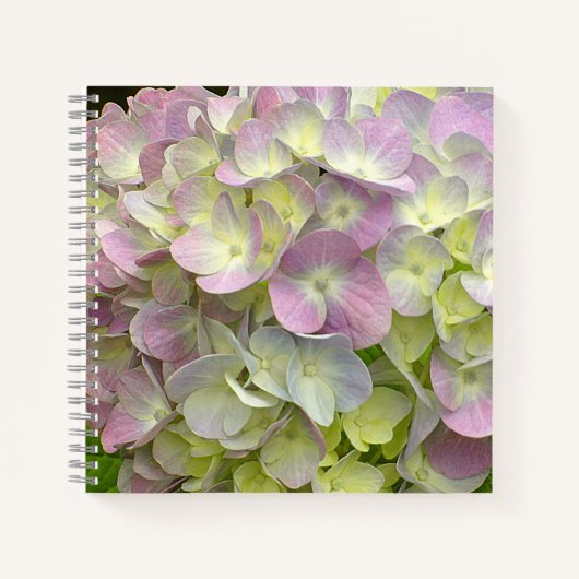 Carnet Fleur d'Hydrangea (Devant)