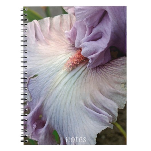 Carnet Fleur d'Iris Pale Violet (Devant)