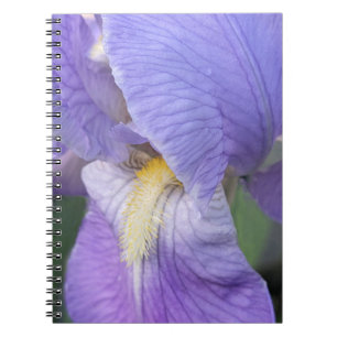 Carnet Fleur d'Iris Pourpre Florale
