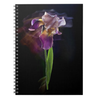 Carnet Fleur d'iris sur un fond noir. Pose longue.