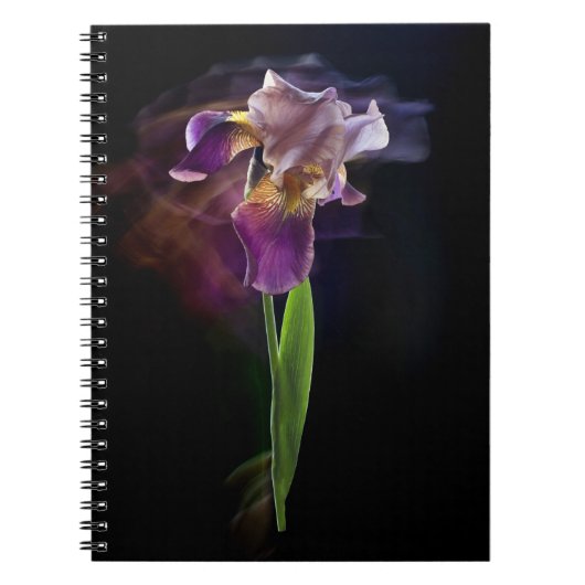 Carnet Fleur d'iris sur un fond noir. Pose longue. (Devant)