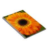 Carnet Fleur d'Orange (Côté Droit)