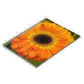 Carnet Fleur d'Orange (Côté gauche)