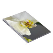 Carnet Fleur d'orchidée blanche (Côté Droit)