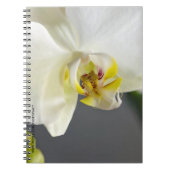 Carnet Fleur d'orchidée blanche (Devant)