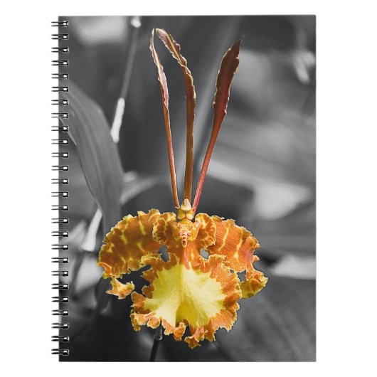 Carnet Fleur d'orchidée jaune (Devant)