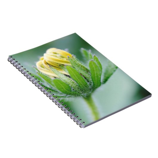Carnet Fleur D'Ouverture De La Fleur De Cône (Côté Droit)