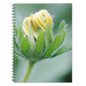 Carnet Fleur D'Ouverture De La Fleur De Cône (Devant)