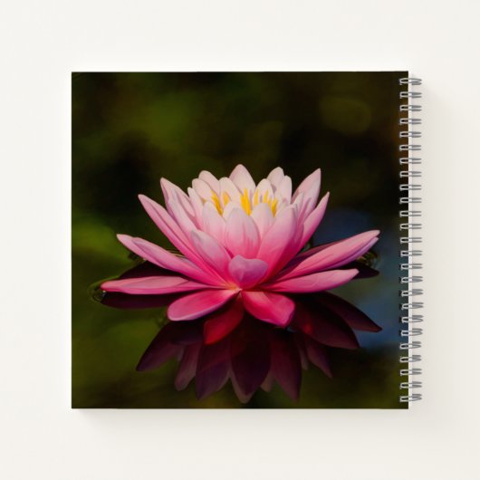 Carnet Fleur du matin (Dos)