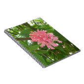 Carnet fleur en panache brésilienne (Côté Droit)