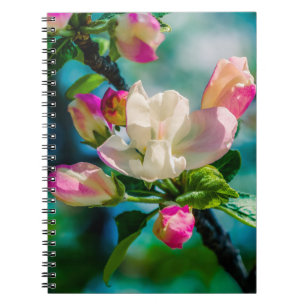 Carnet Fleur et bourgeons de pommes de terre