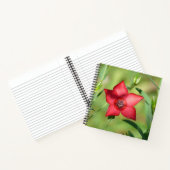 Carnet Fleur Étoile Rouge Feuillage Vert (Intérieur)