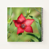 Carnet Fleur Étoile Rouge Feuillage Vert (Dos)