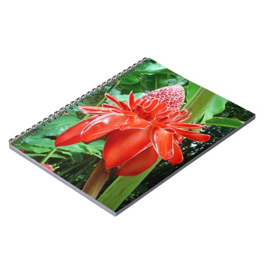 Carnet Fleur Exotique Rose des Caraïbes rouges (Côté gauche)