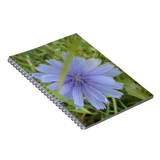 Carnet Fleur florale Chicory bleu violet (Côté Droit)