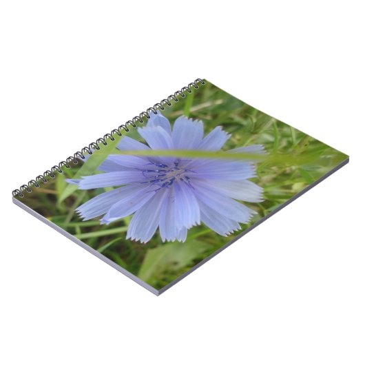 Carnet Fleur florale Chicory bleu violet (Côté gauche)