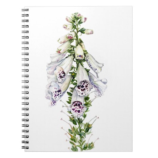 Carnet Fleur Foxglove (Devant)