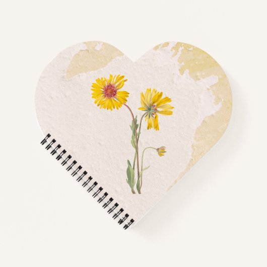 Carnet Fleur Gaillardia pérenne (Devant)