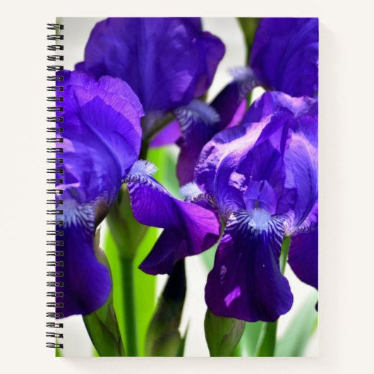 Carnet Fleur Iris Iris Violet (Devant)
