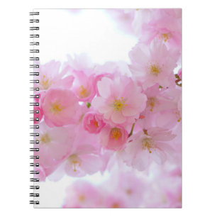 Carnet Fleur japonaise de cerisier