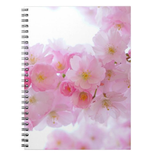 Carnet Fleur japonaise de cerisier (Devant)