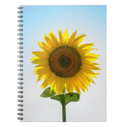 Carnet Fleur jaune (Devant)