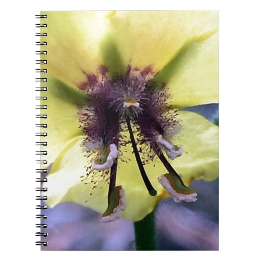 Carnet Fleur jaune 3 (Devant)