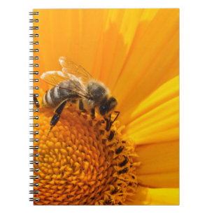 Carnet Fleur Jaune Lumineuse Et Abeille De Miel