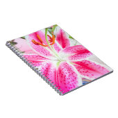 Carnet Fleur Lily Stargazer (Côté Droit)