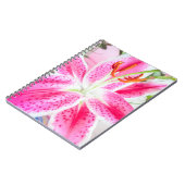Carnet Fleur Lily Stargazer (Côté gauche)