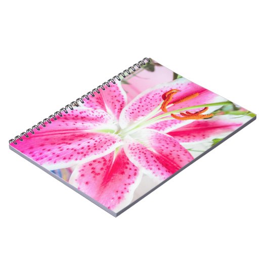 Carnet Fleur Lily Stargazer (Côté gauche)