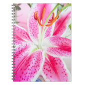 Carnet Fleur Lily Stargazer (Devant)