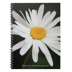 Carnet Fleur marguerite blanche