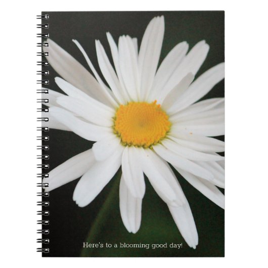 Carnet Fleur marguerite blanche (Devant)
