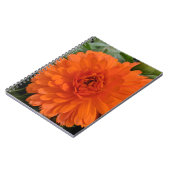 Carnet Fleur orange (Côté gauche)